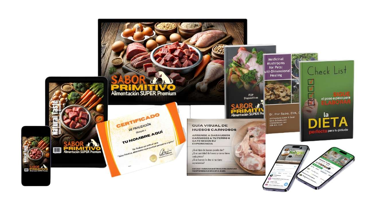 curso sabor primitivo mockup (1)